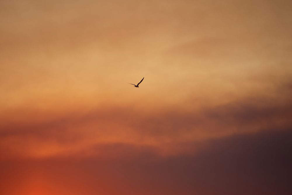Photograph by Mereuta Eugenia