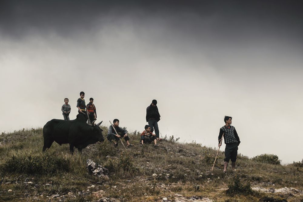 Photograph by Niranjan Baishya