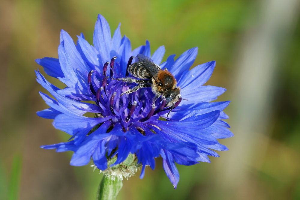 Фотография автора Владимир Лобанов