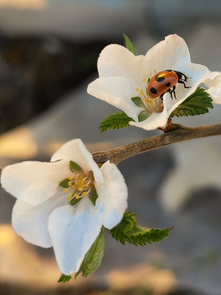 Photograph by Ульяна Кузьмина