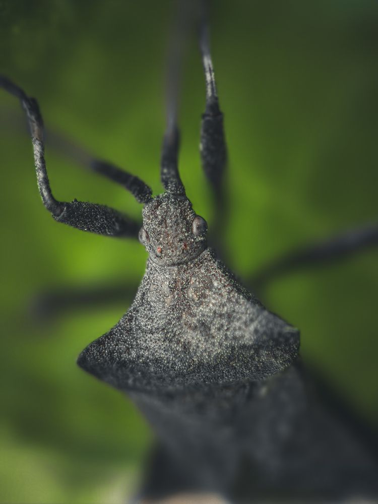 Photograph by Былков Евгений
