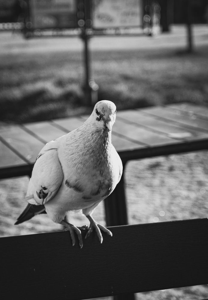 Photograph by Андрей Безгин