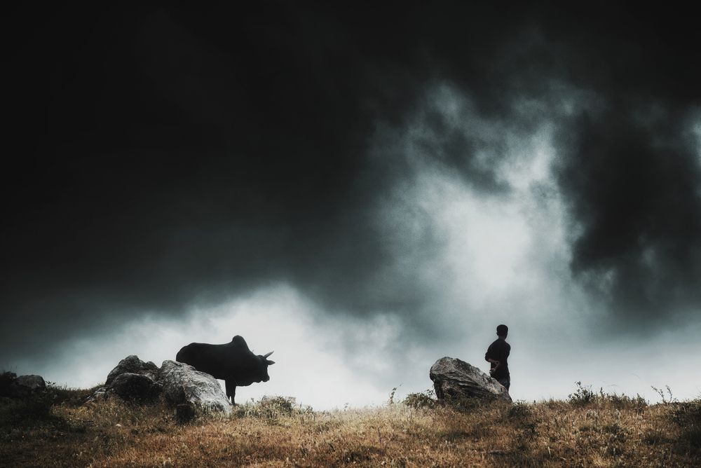 Photograph by Niranjan Baishya