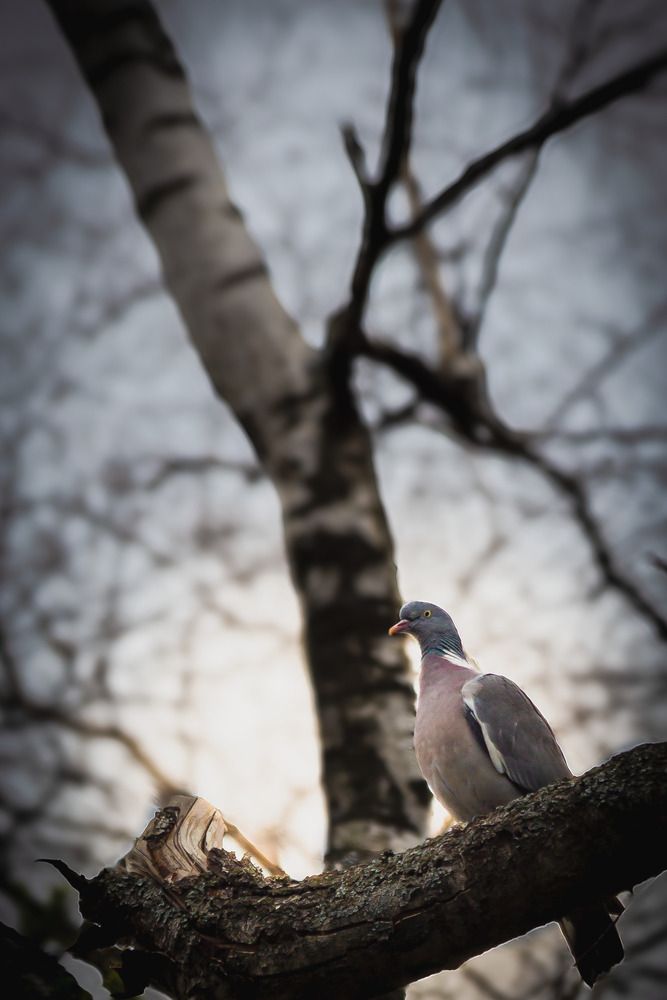 Photograph by Илья Болдырев-Никитин