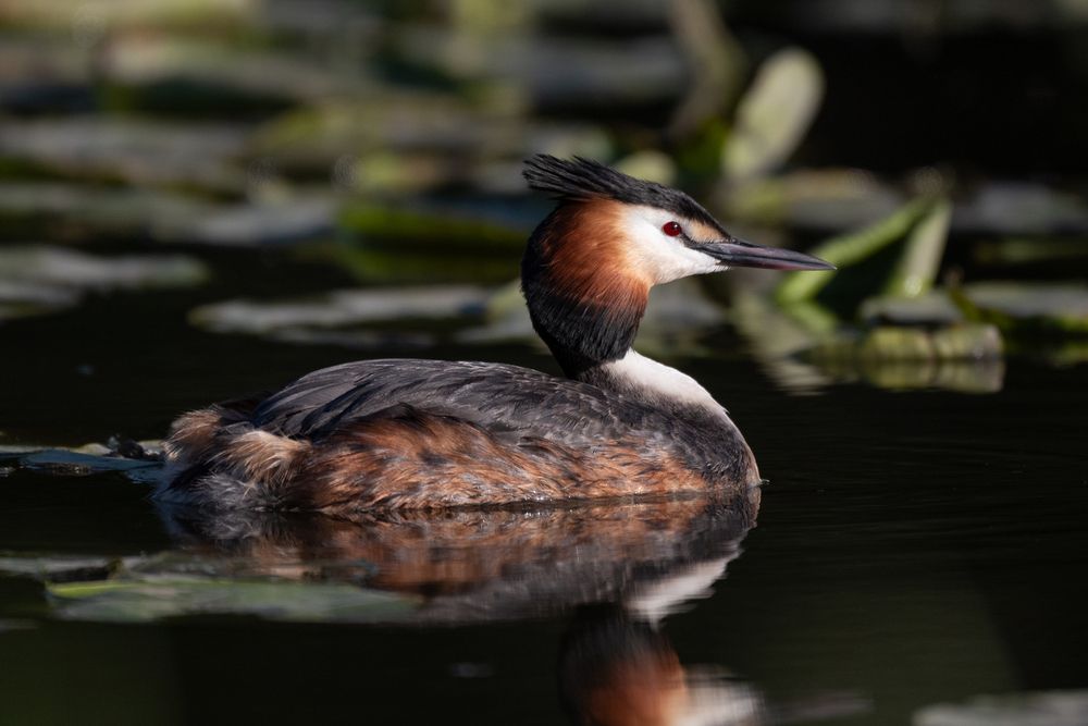 Photograph by Сергей Цуканов