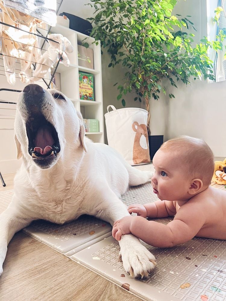 Photograph by Татьяна Волохова