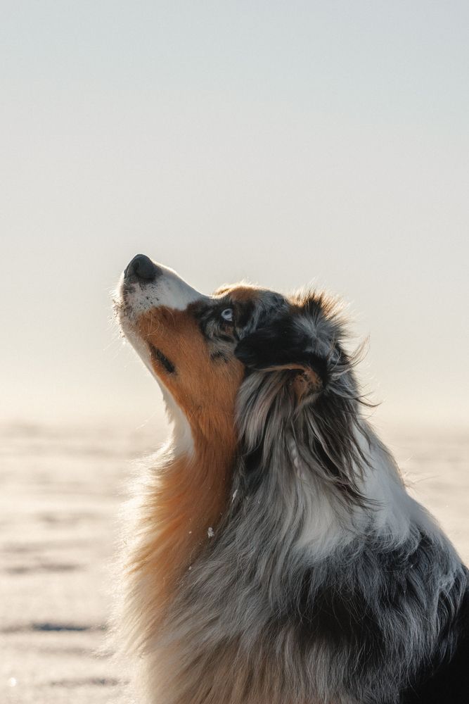 Photograph by Алёна Губинская