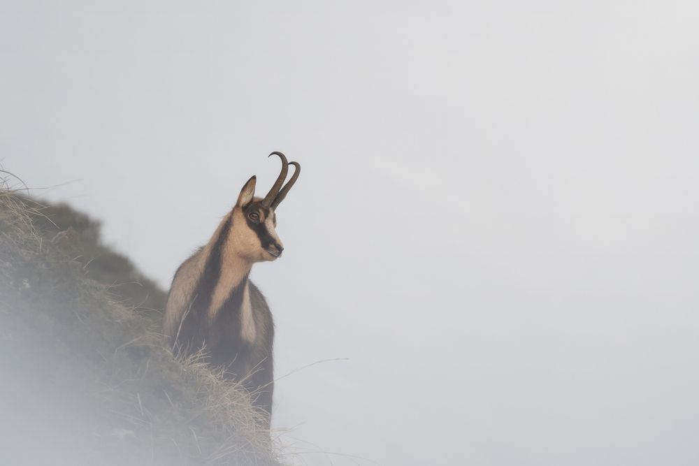 Photograph by Domenico Marrano
