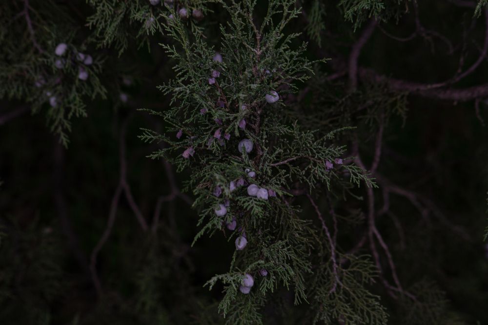 Photograph by Анна Лукина