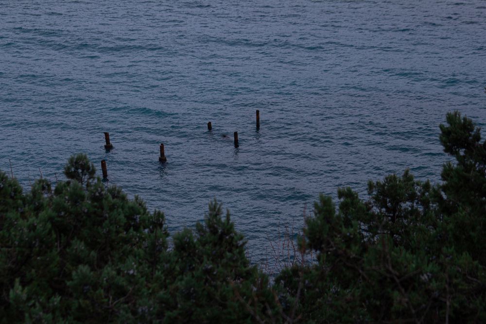 Photograph by Анна Лукина