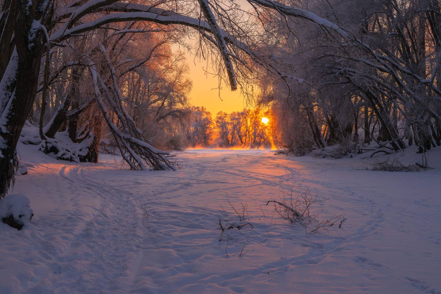 Фотография #13204280