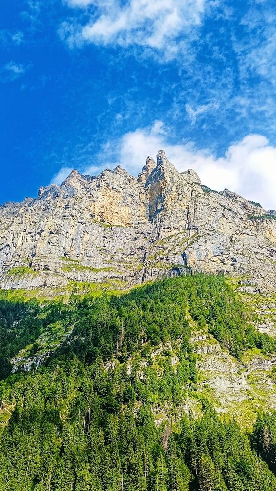 Фотография автора Наталия Дроздова