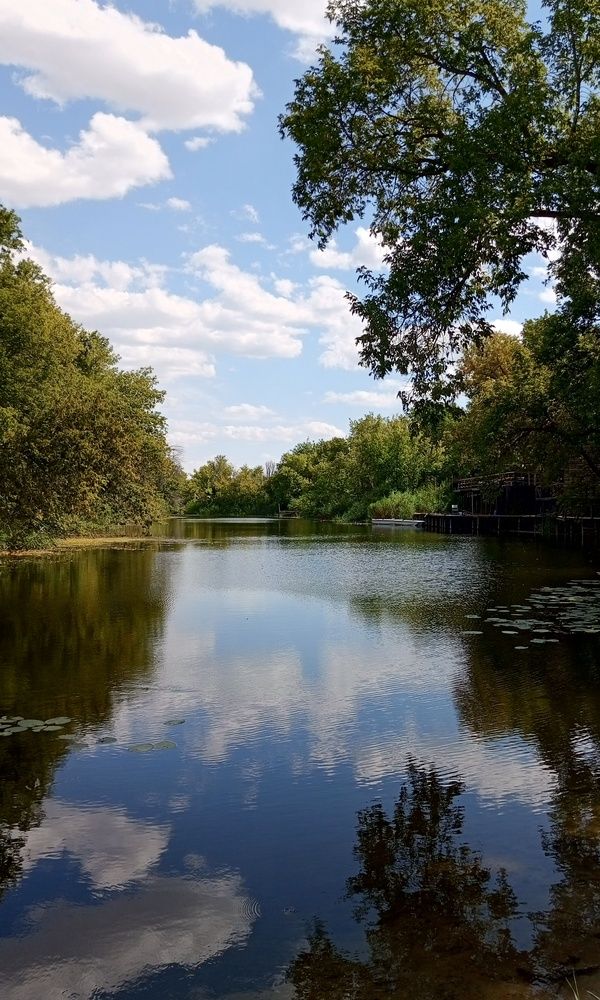 Photograph by Людмила М