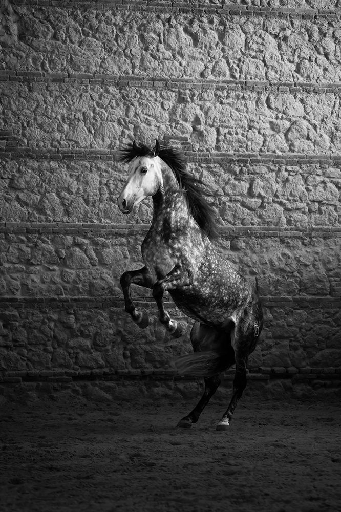 Photograph by Agata Kołodziejczyk