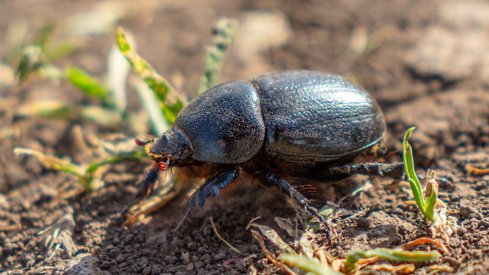 Фотография автора Виталий Панченко