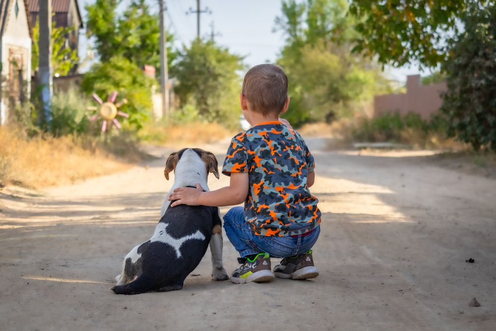 Фотография автора Виталий Панченко