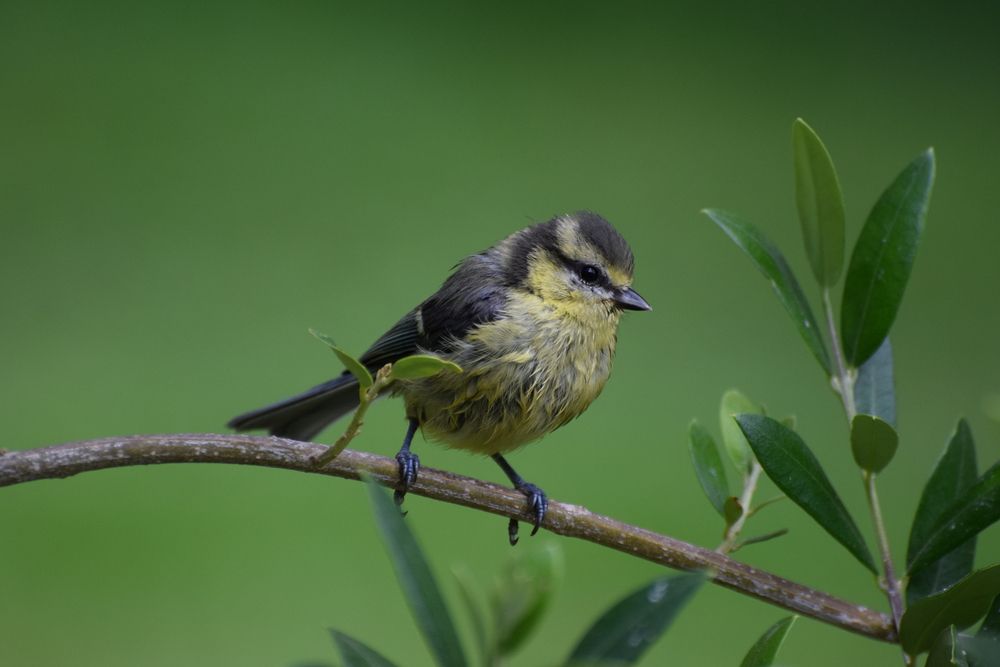 Photograph by Regina Belomytseva-Dahan