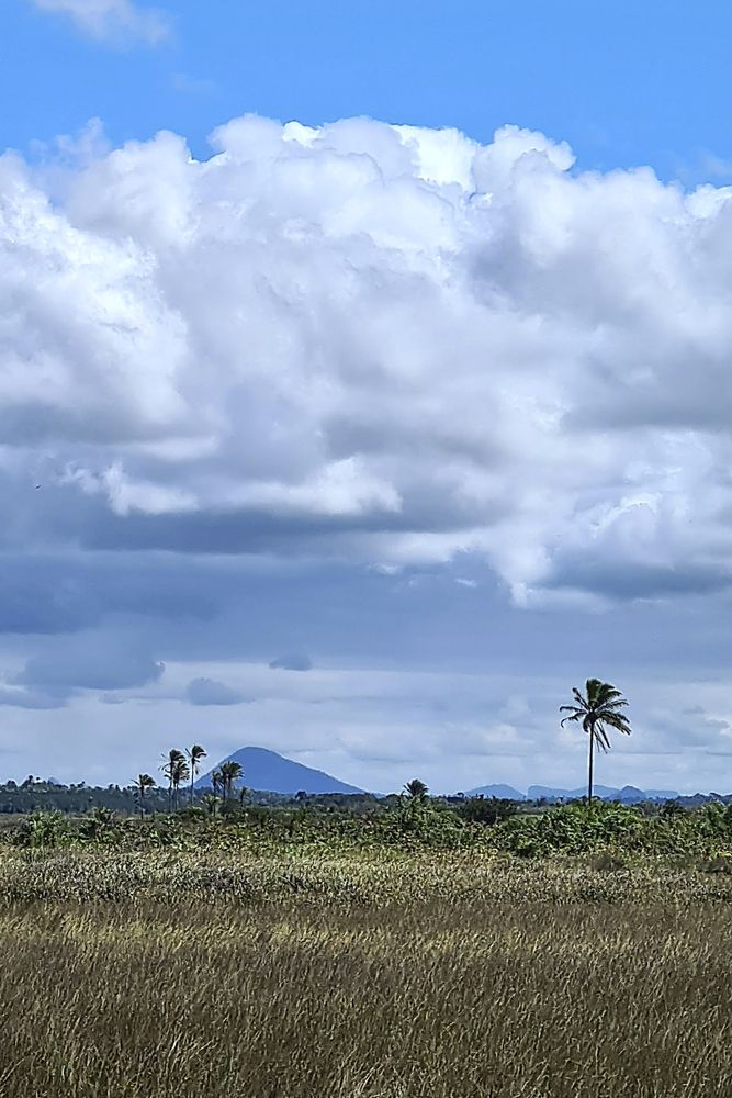 Photograph by Mônica Andrade