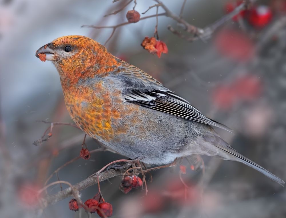 Photograph by Дарья