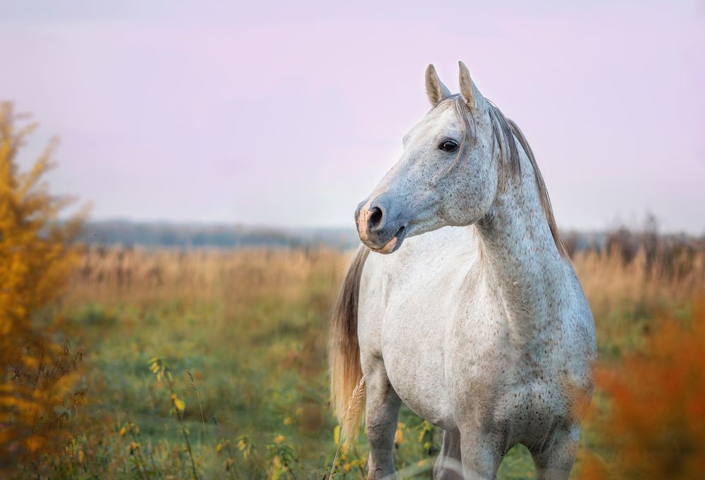 Photograph by Екатерина Лебедева