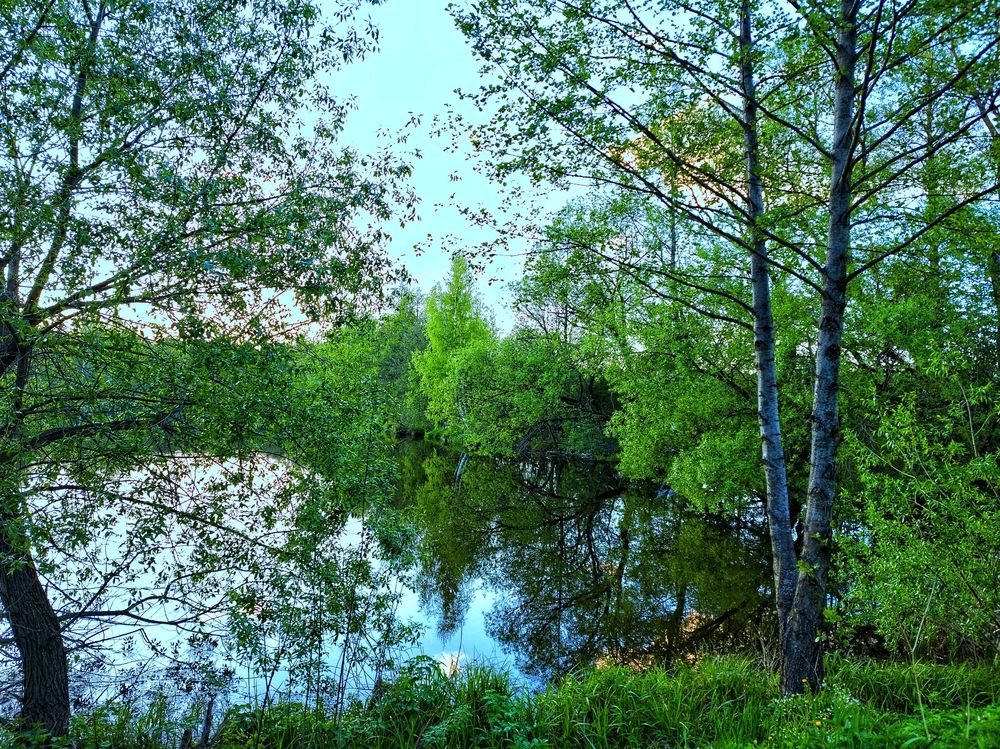 Photograph by Александр