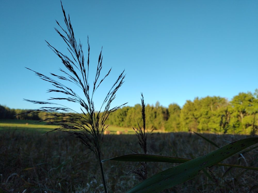 Photograph by Piotr Juszczynski