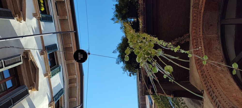 Photograph by Piotr Juszczynski