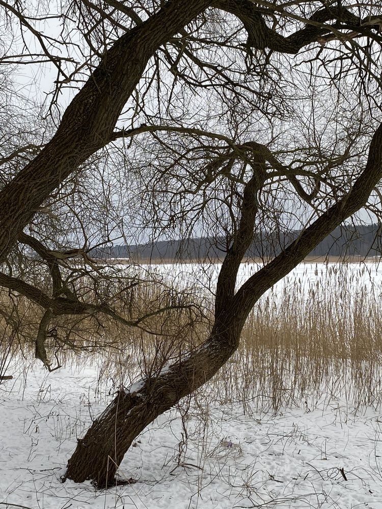 Photograph by Лидия Горностаева