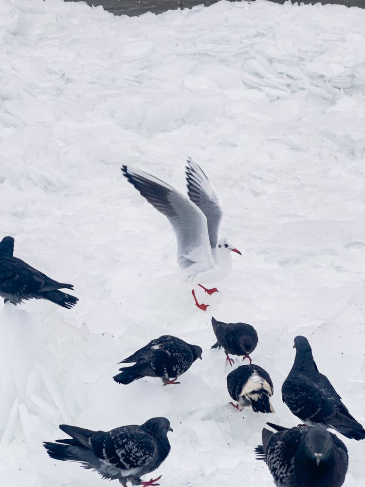 Photograph by Анастасия Волошина