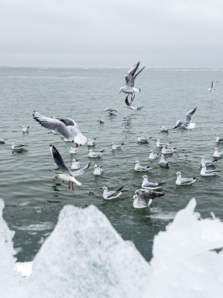 Photograph by Анастасия Волошина