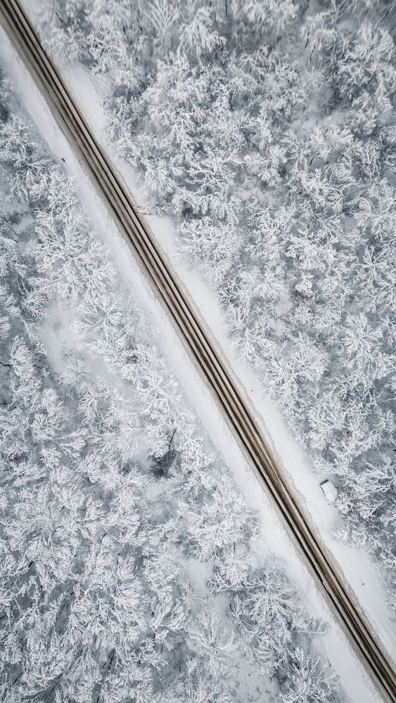 Фотография автора Храмов Роман