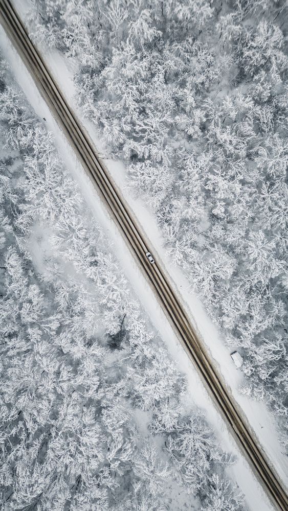 Фотография автора Храмов Роман