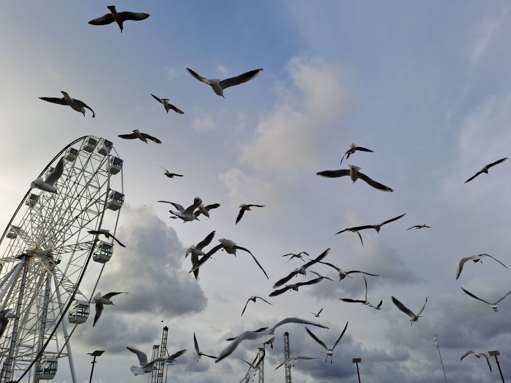 Photograph by Ирина Савельева