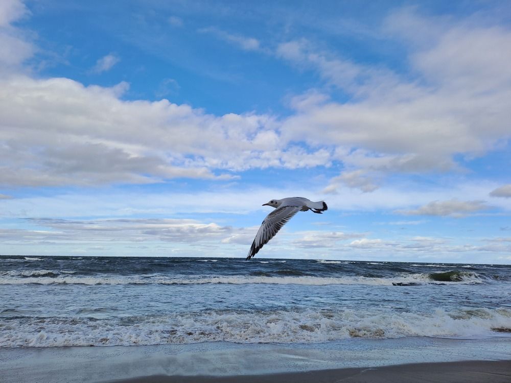 Photograph by Ирина Савельева