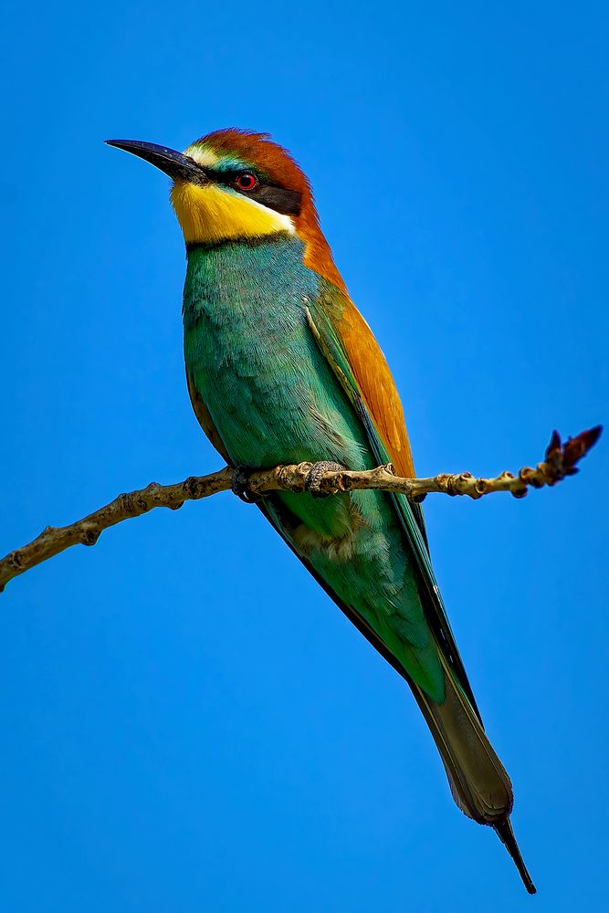 Photograph by Александр Перегудов