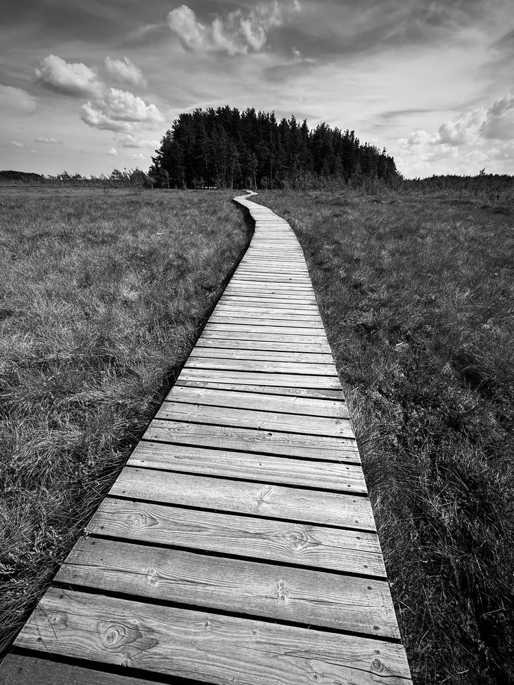 Photograph by наталья ионова