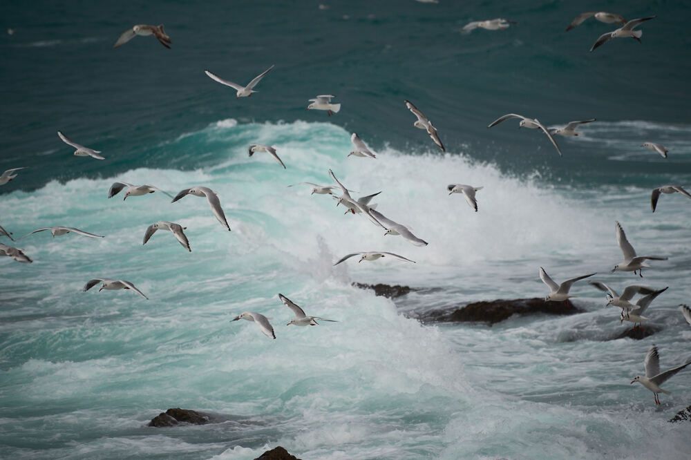 Photograph by Константин Громов