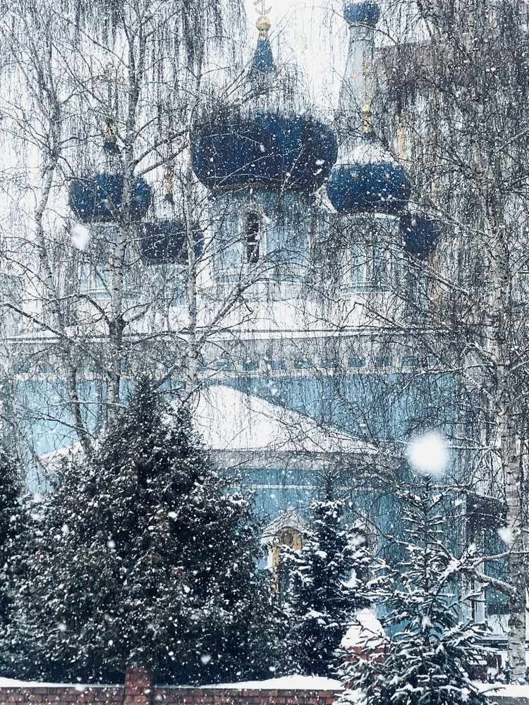 Фотография автора Петровна Валентина