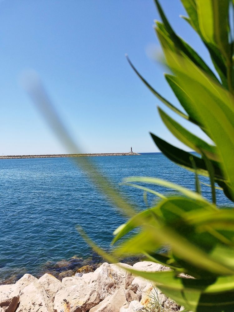 Фотография автора JELENA VASIC