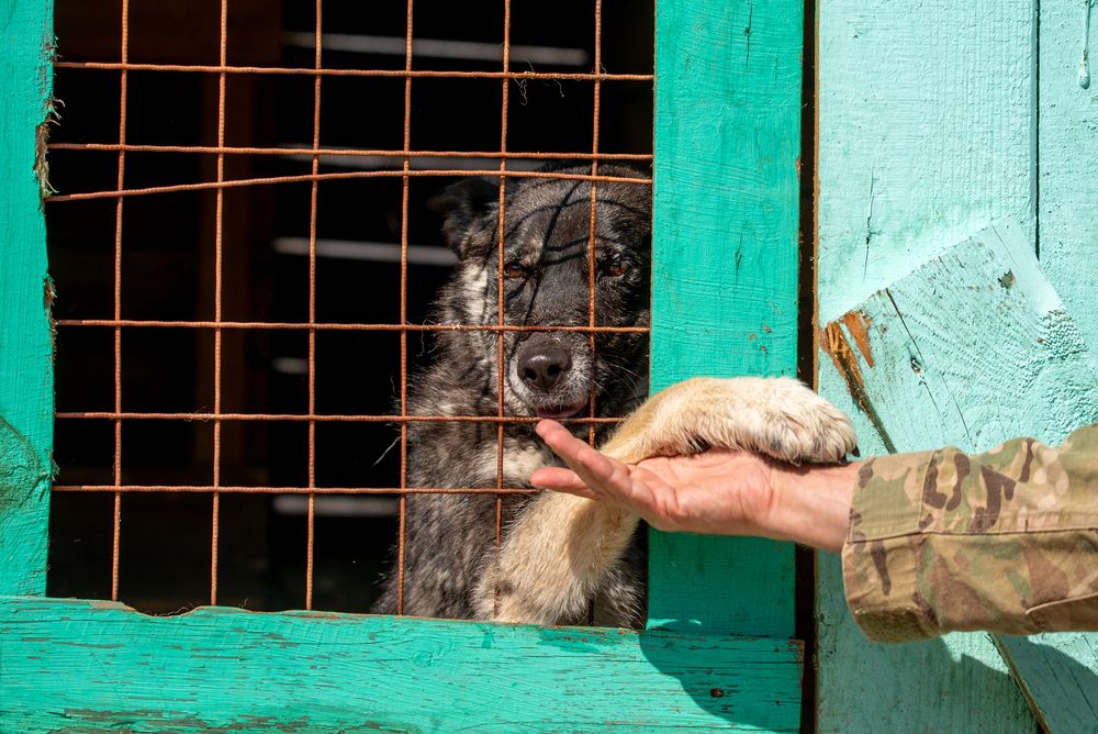 Photograph by наталья залогина