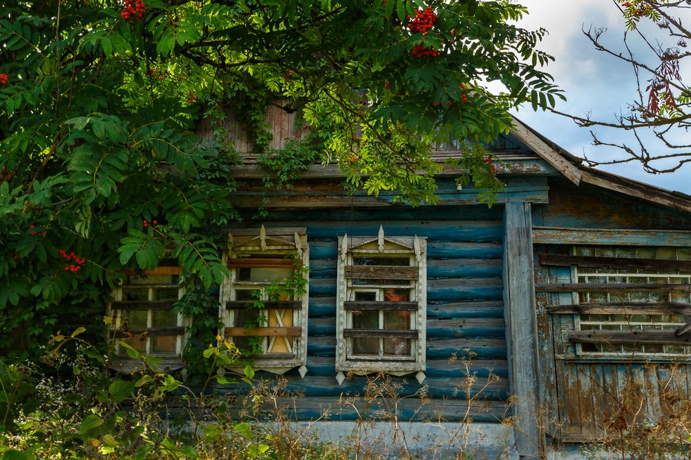 Photograph by Наталья Колеватова