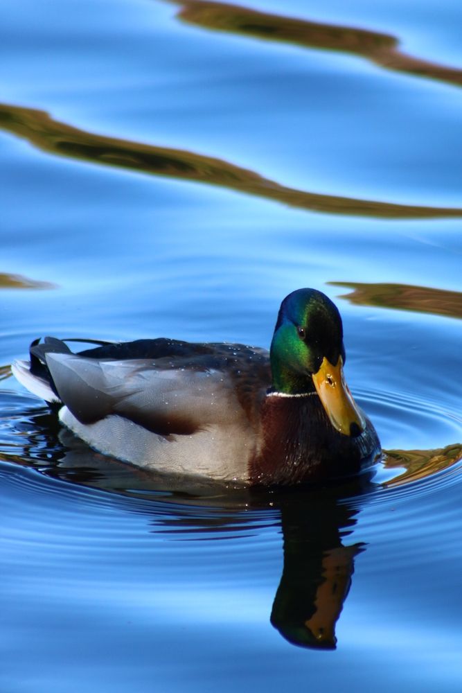 Photograph by Светлана Шуткова