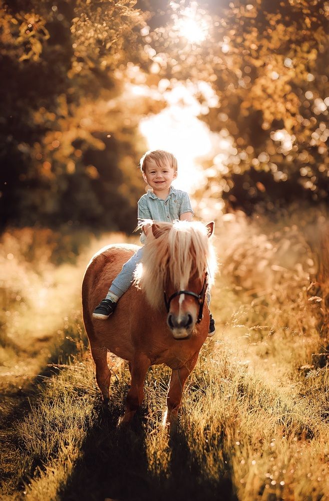 Photograph by Veronika Martinková