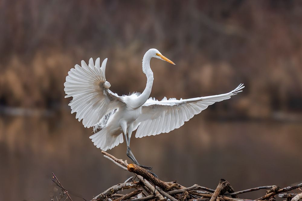 Photograph by Леонид Дьяченко