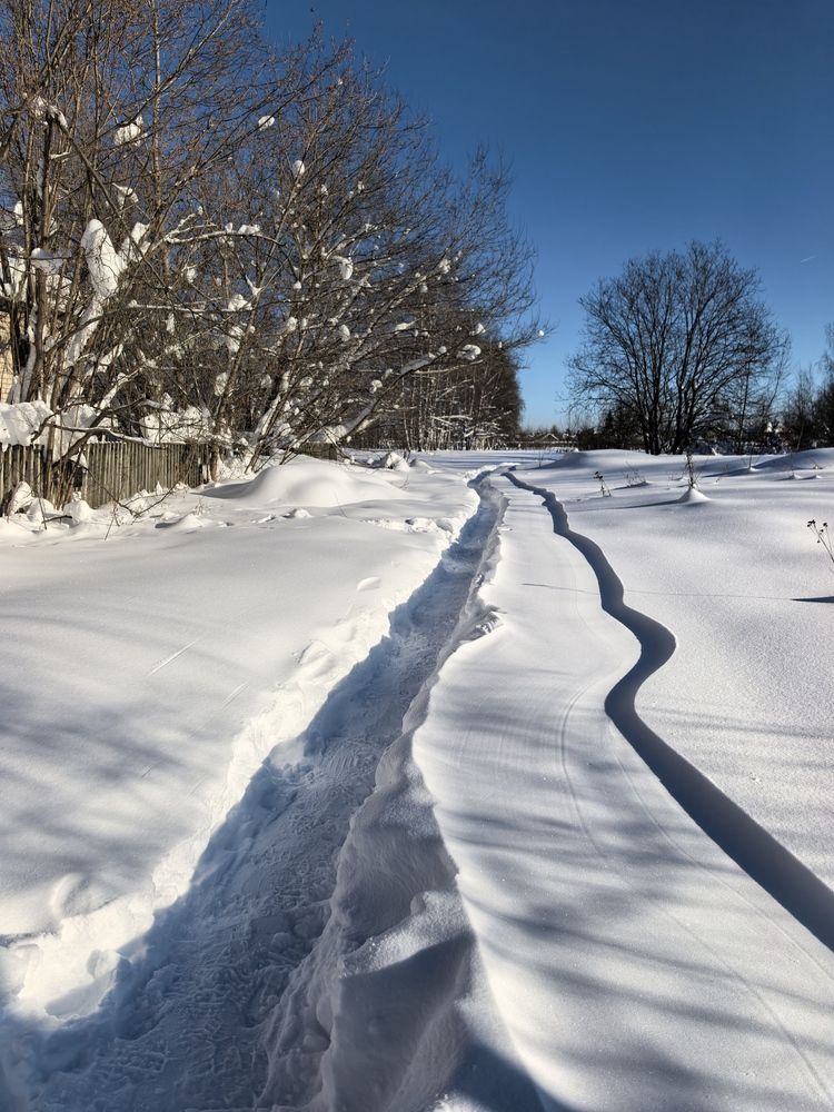 Фотография автора Елена Охапкина