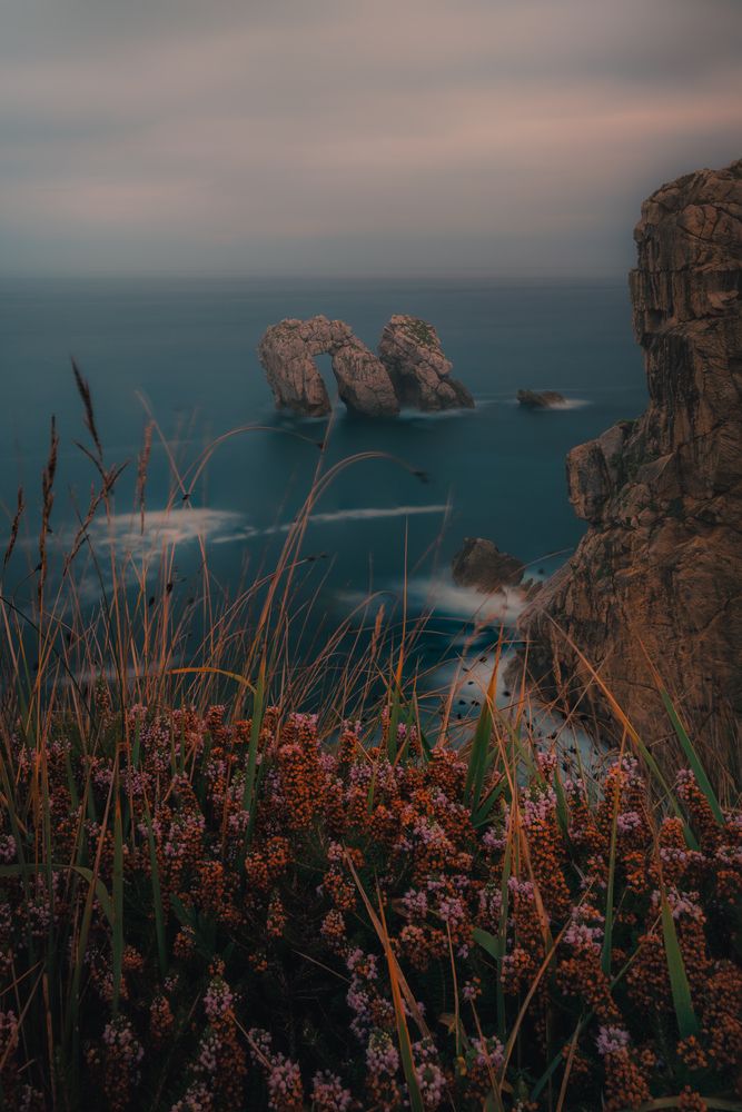 Edge of Wonder