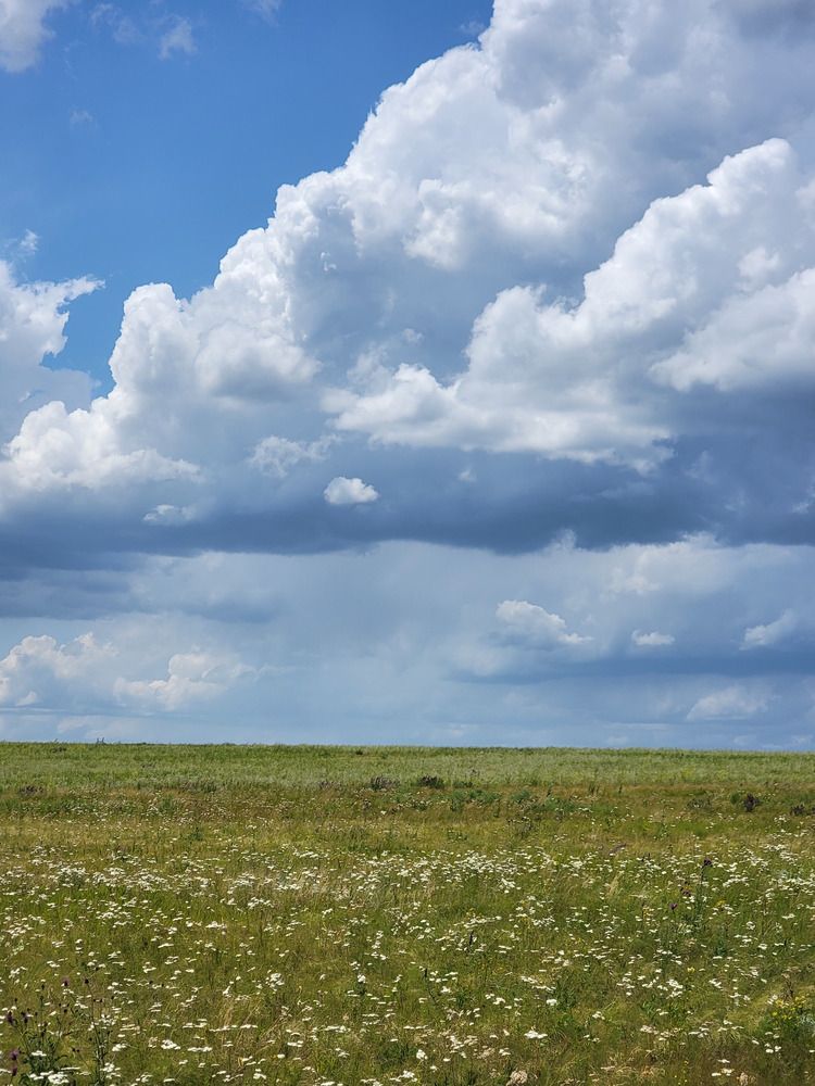 Фотография автора Валентин Науменков