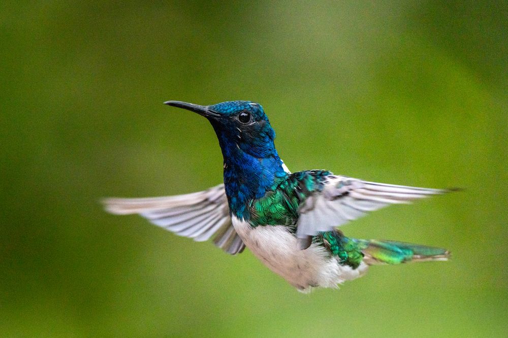 Photograph by Julia A Caesar