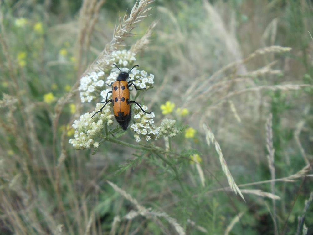 Photograph by Валентин Науменков