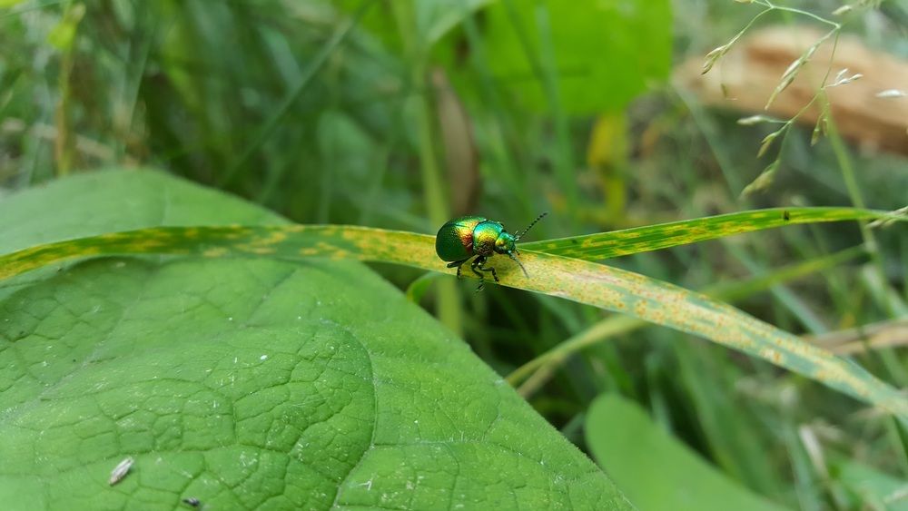 Photograph by Валентин Науменков